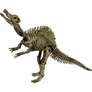 Utgraversett Spinosaurus