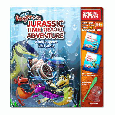 Standardbilde Zirius ERP